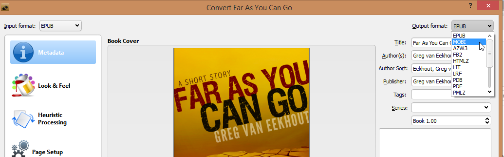 Screenshot of output format selection
